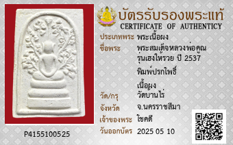 รูปบัตร