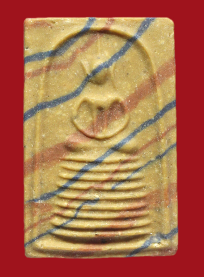 รูปที่อัปโหลด