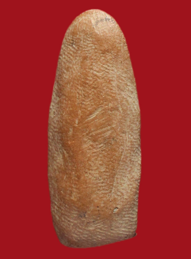 รูปที่อัปโหลด