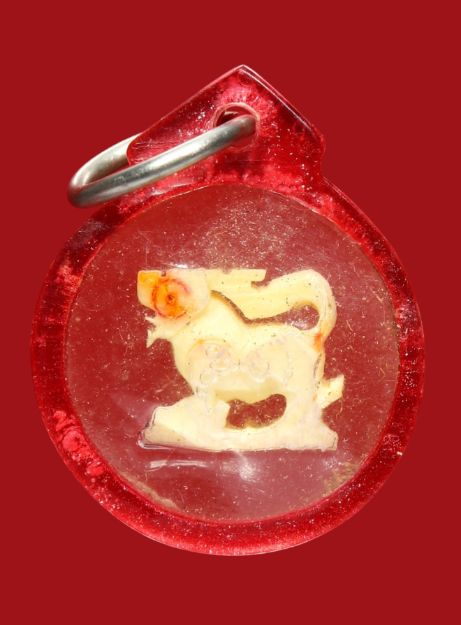 รูปที่อัปโหลด