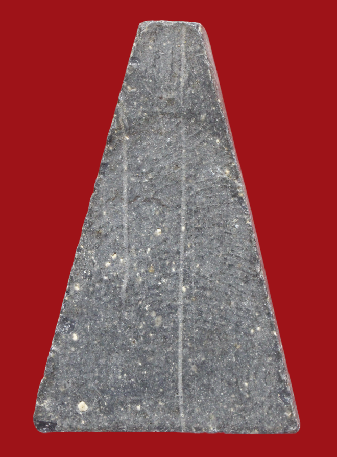 รูปที่อัปโหลด