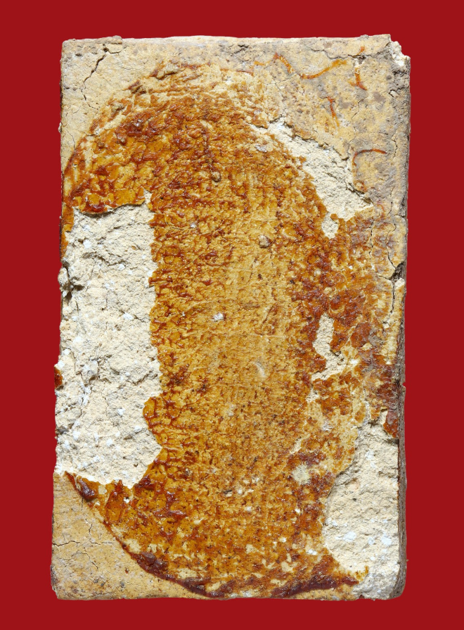 รูปที่อัปโหลด