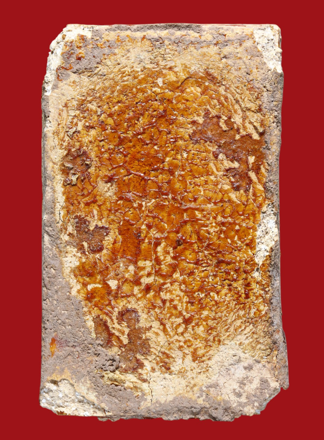 รูปที่อัปโหลด