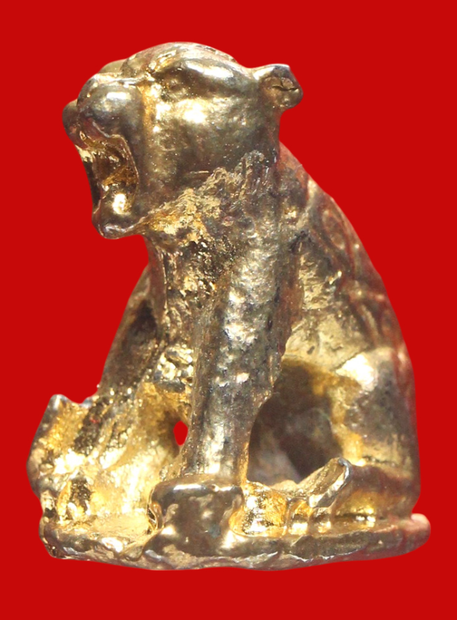 รูปที่อัปโหลด