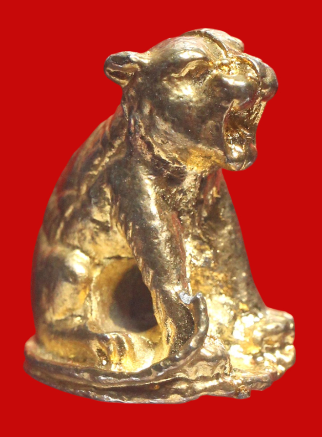 รูปที่อัปโหลด