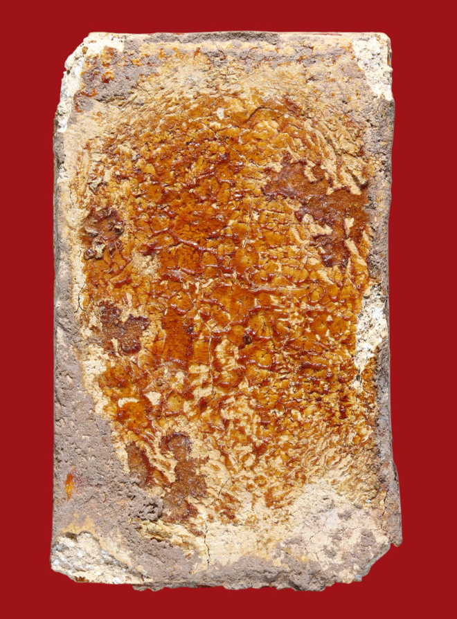 รูปที่อัปโหลด