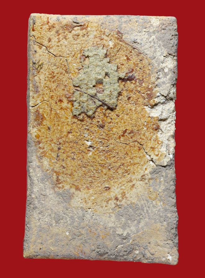 รูปที่อัปโหลด