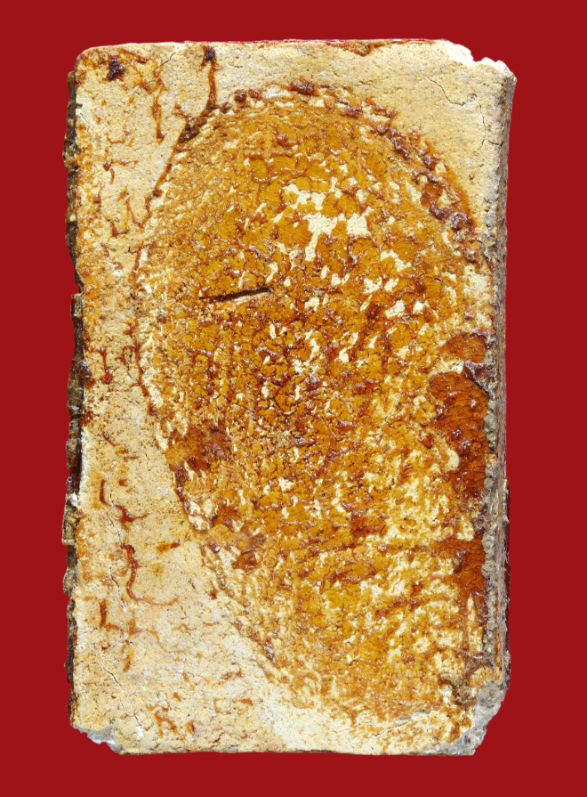 รูปที่อัปโหลด