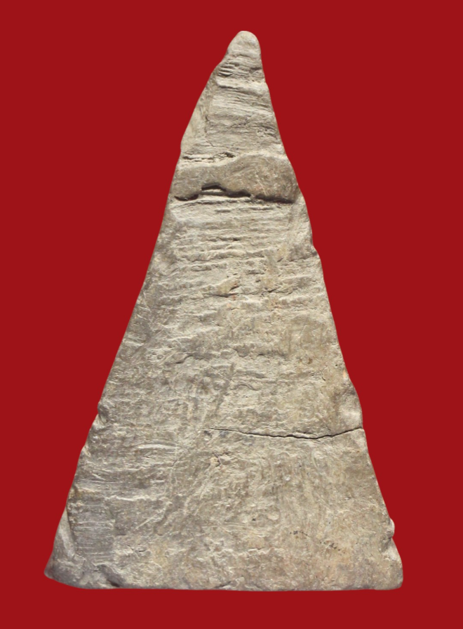 รูปที่อัปโหลด