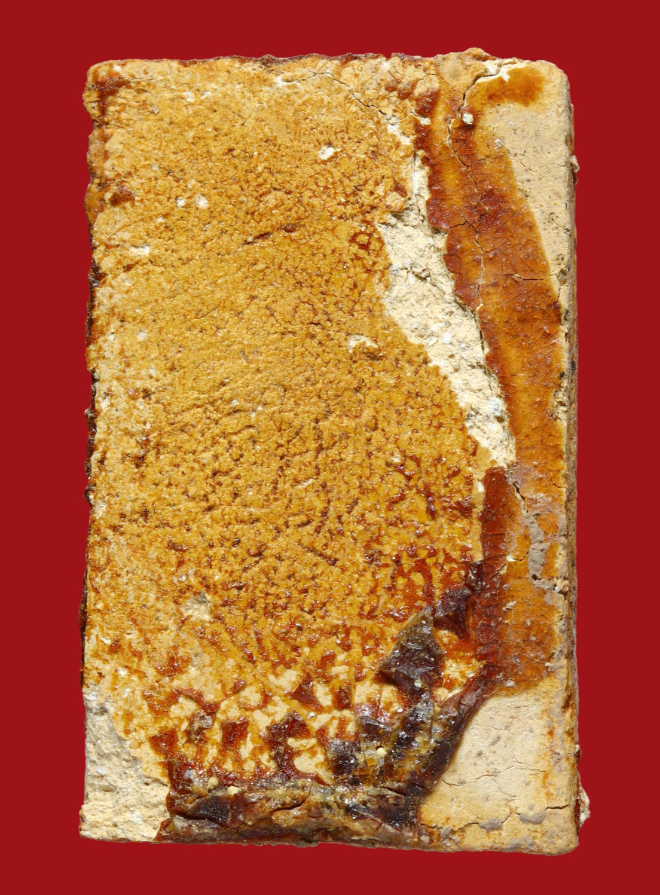 รูปที่อัปโหลด