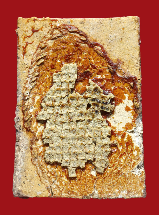 รูปที่อัปโหลด