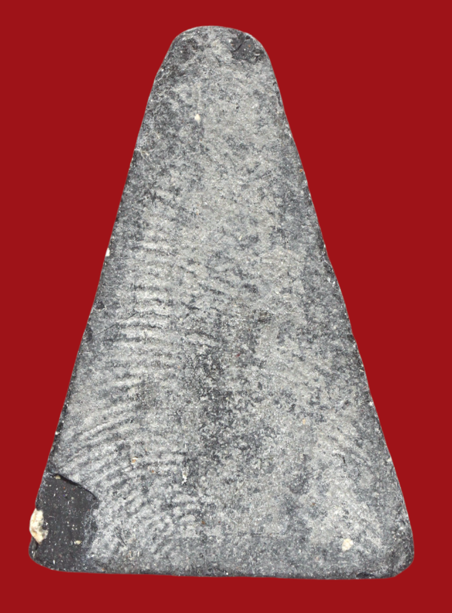 รูปที่อัปโหลด