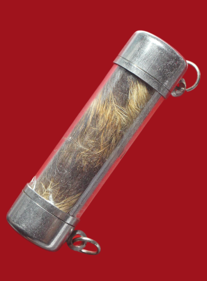 รูปที่อัปโหลด