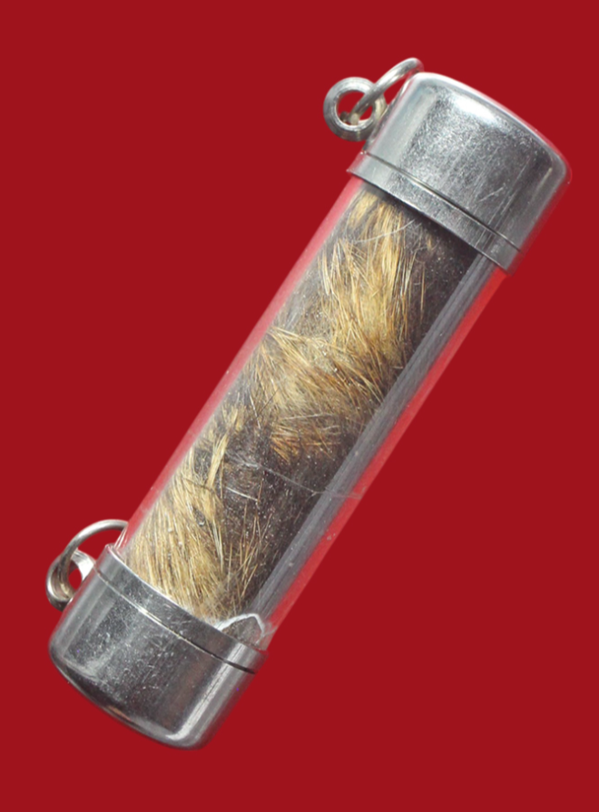 รูปที่อัปโหลด