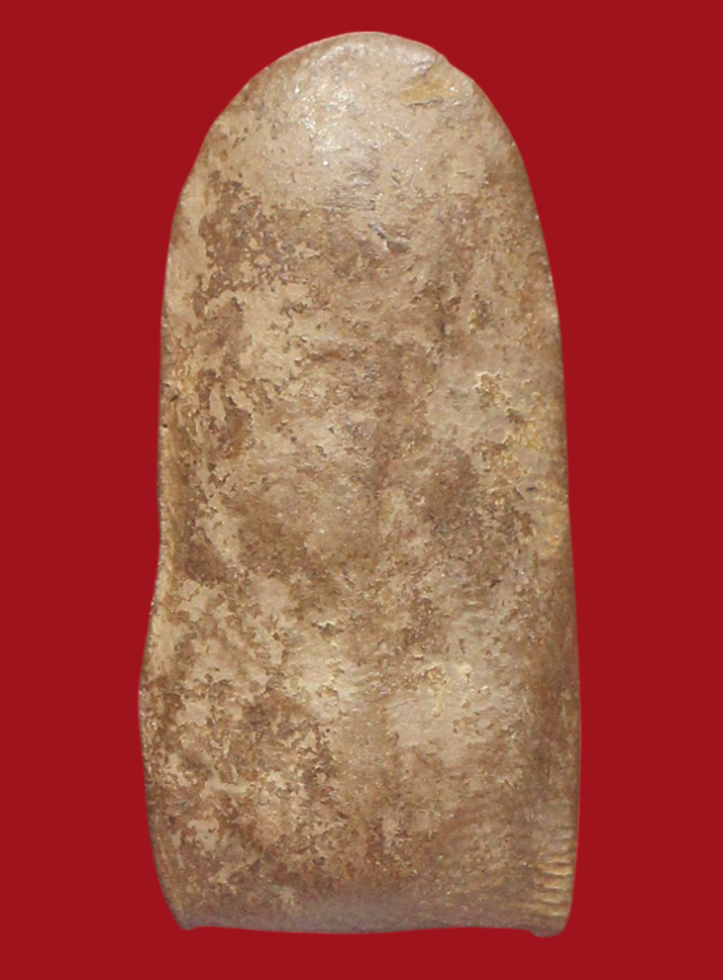 รูปที่อัปโหลด