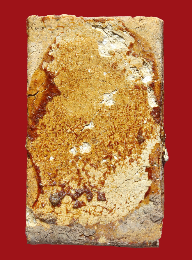 รูปที่อัปโหลด