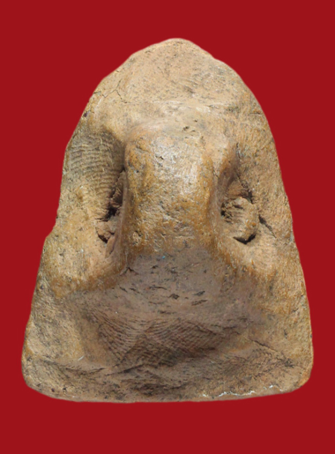 รูปที่อัปโหลด