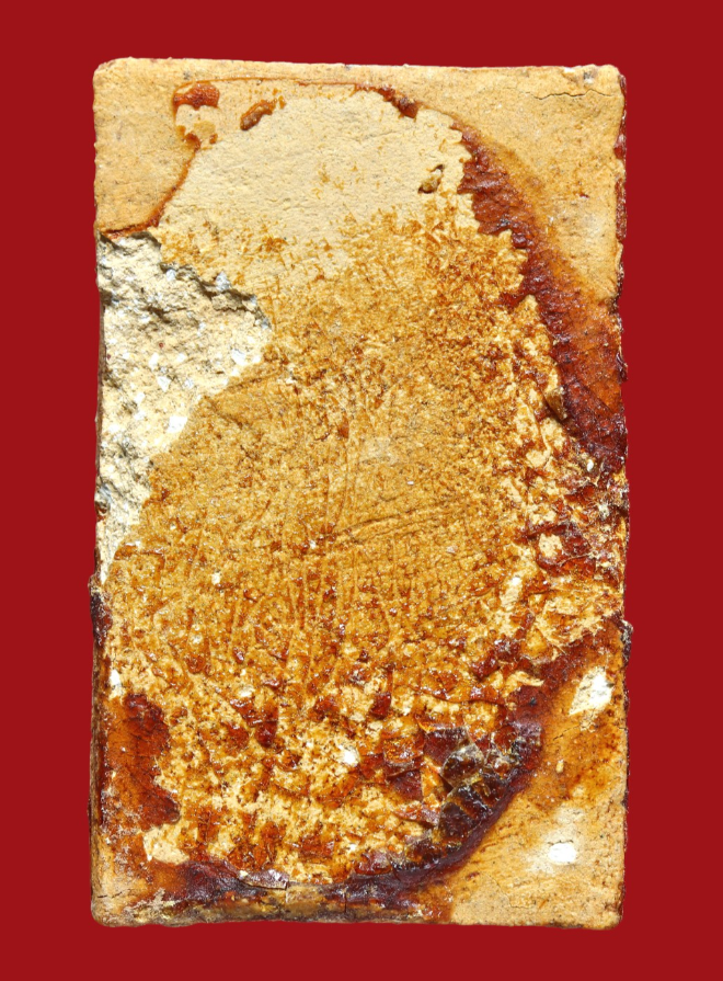 รูปที่อัปโหลด