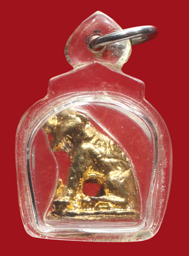 รูปที่อัปโหลด