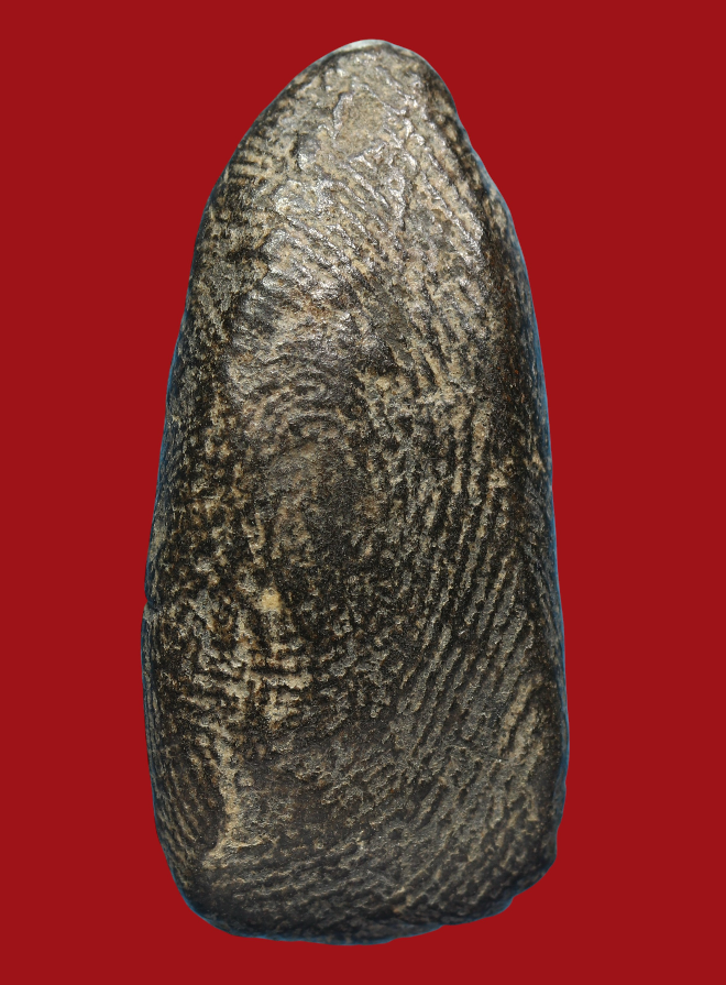 รูปที่อัปโหลด