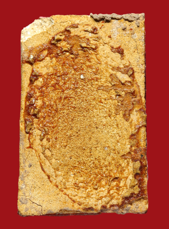 รูปที่อัปโหลด