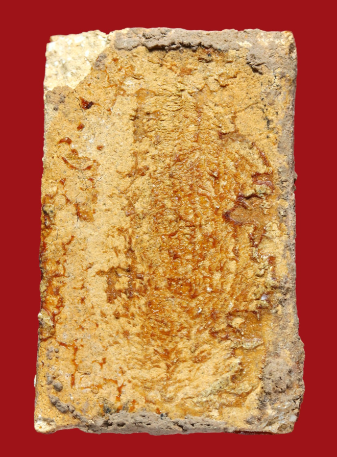 รูปที่อัปโหลด