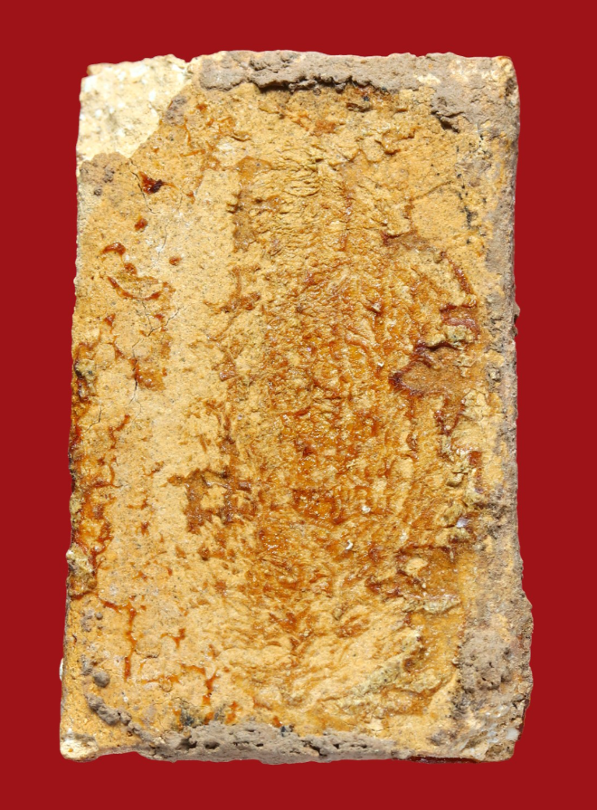 รูปที่อัปโหลด