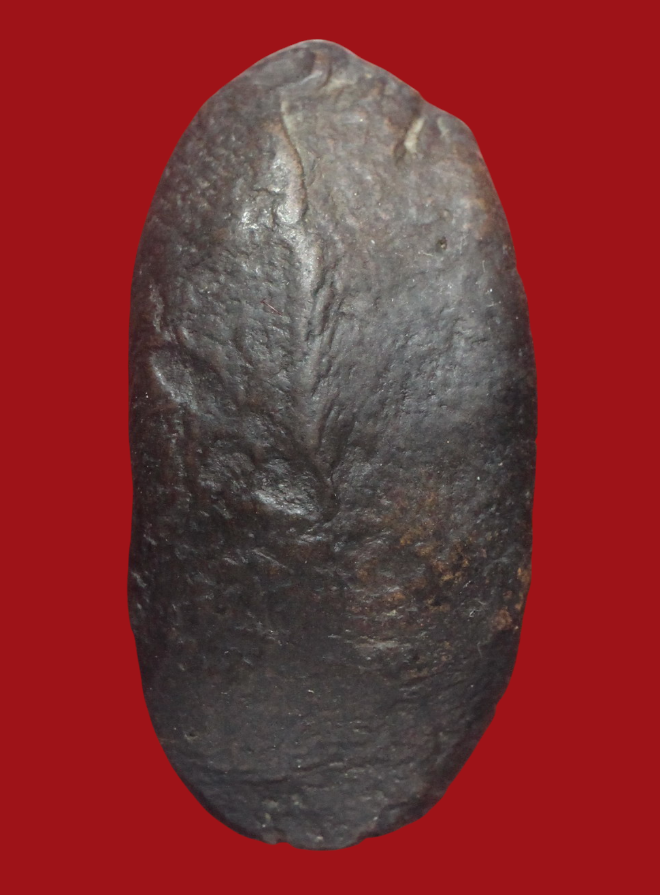 รูปที่อัปโหลด