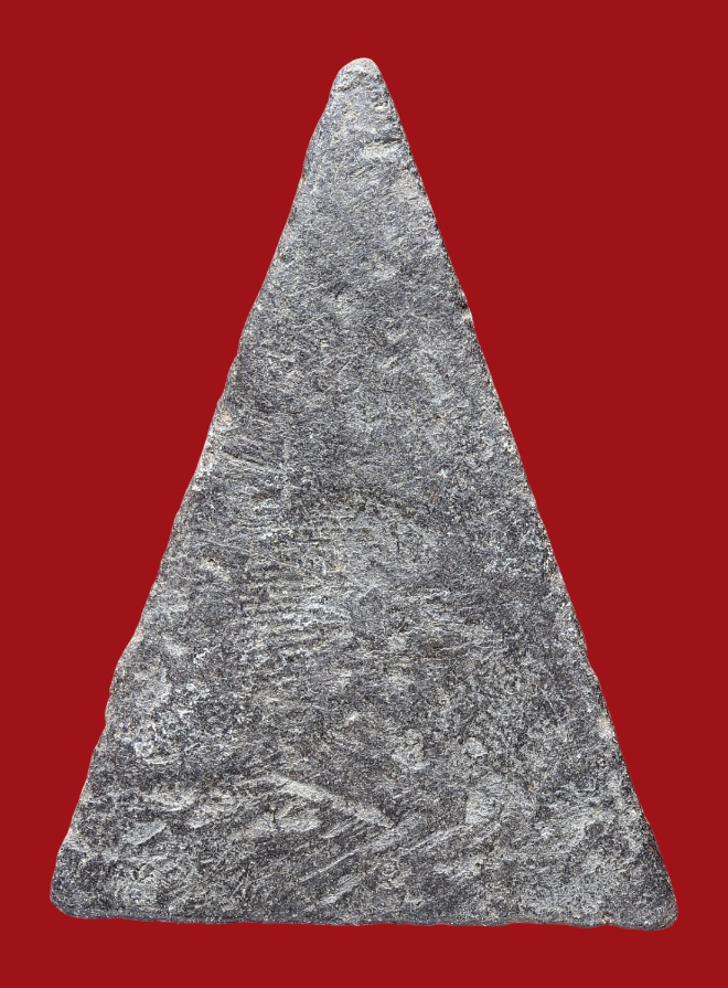 รูปที่อัปโหลด