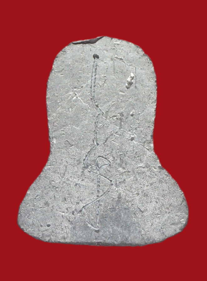 รูปที่อัปโหลด