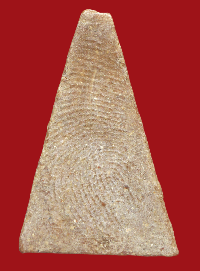 รูปที่อัปโหลด