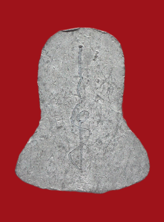 รูปที่อัปโหลด