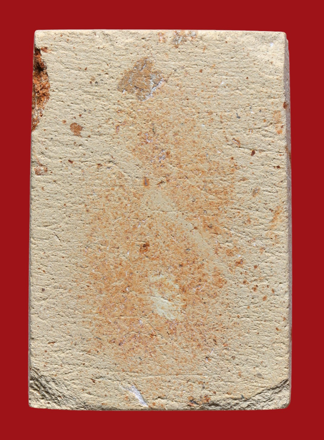 รูปที่อัปโหลด