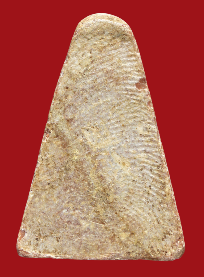 รูปที่อัปโหลด