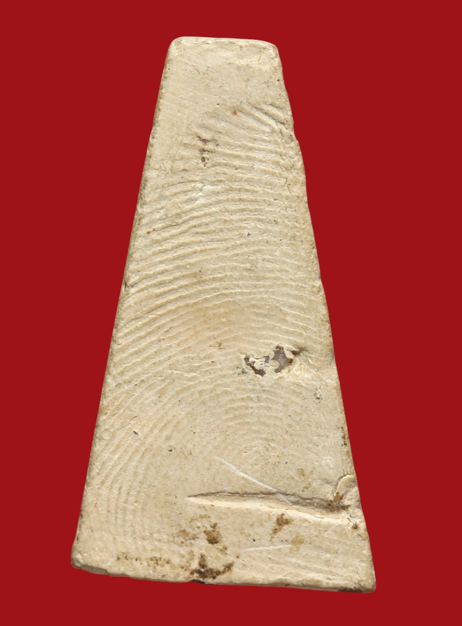 รูปที่อัปโหลด