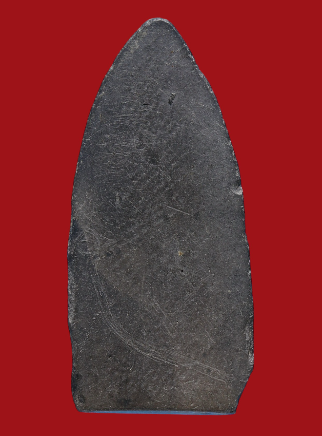 รูปที่อัปโหลด