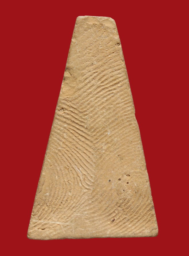 รูปที่อัปโหลด