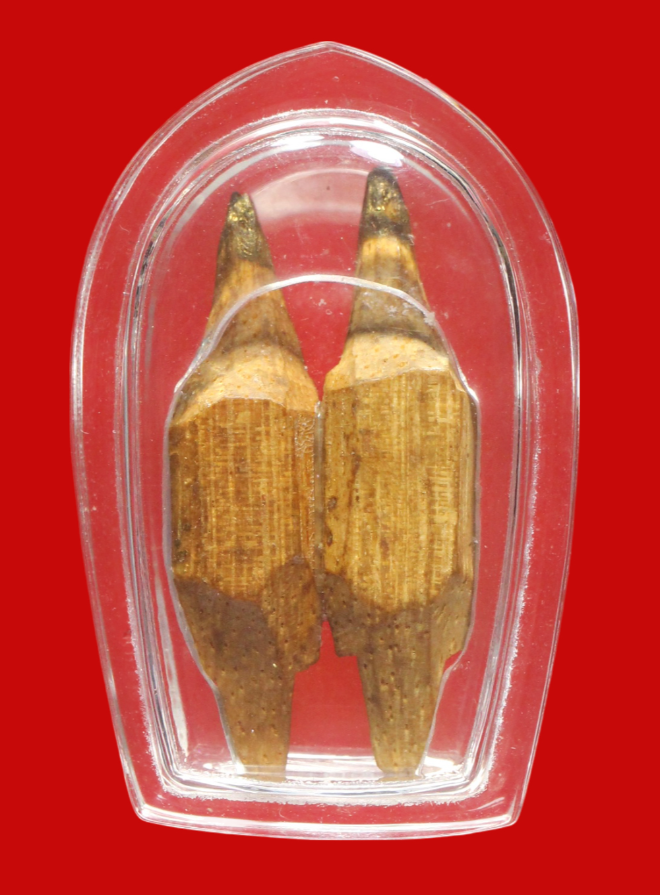 รูปที่อัปโหลด