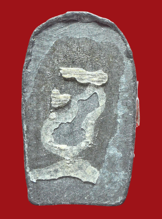 รูปที่อัปโหลด