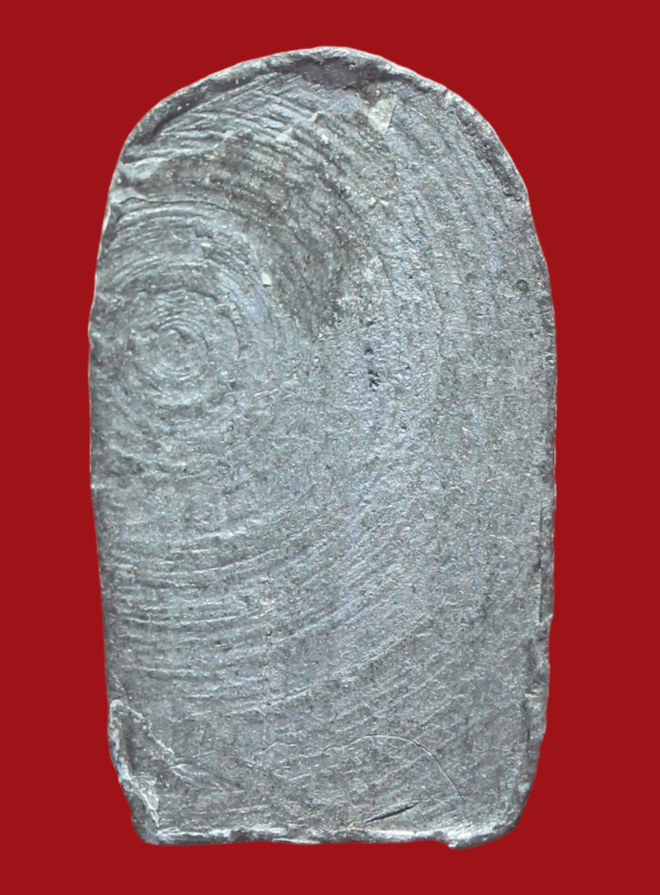 รูปที่อัปโหลด