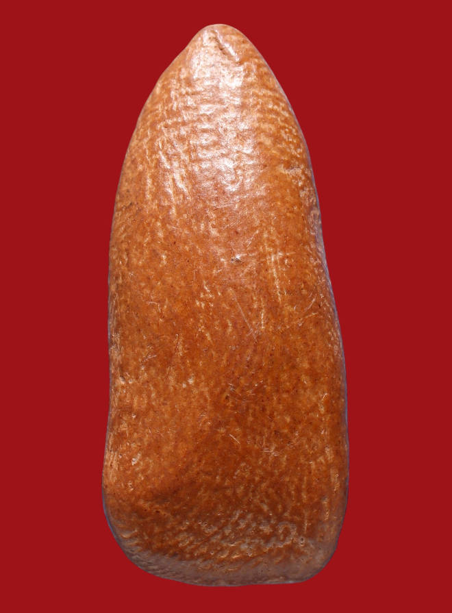 รูปที่อัปโหลด