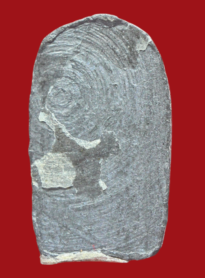 รูปที่อัปโหลด