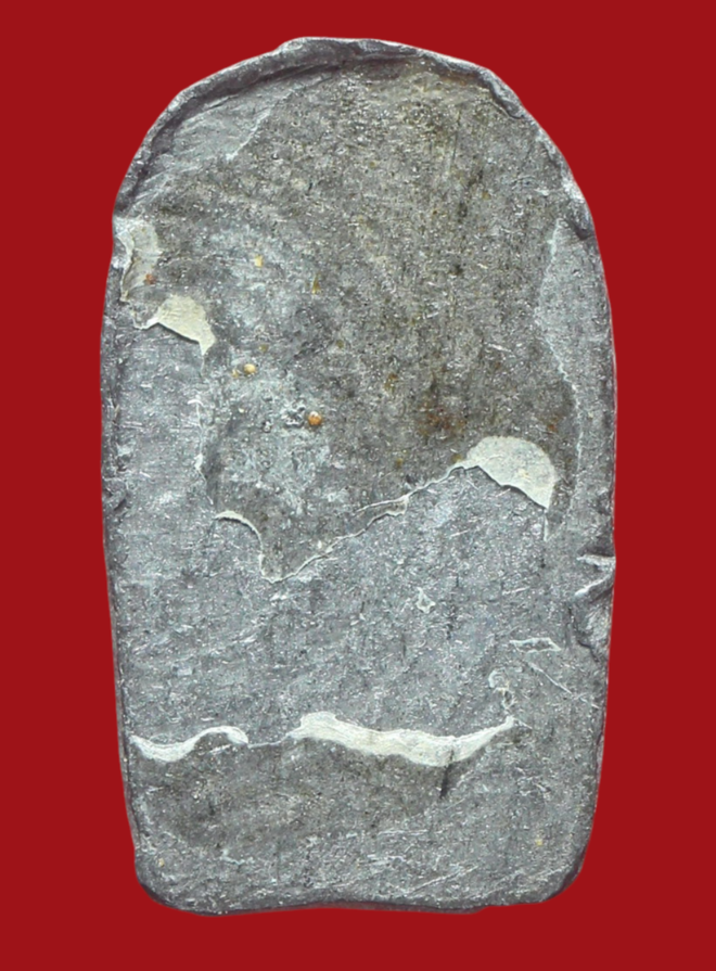 รูปที่อัปโหลด