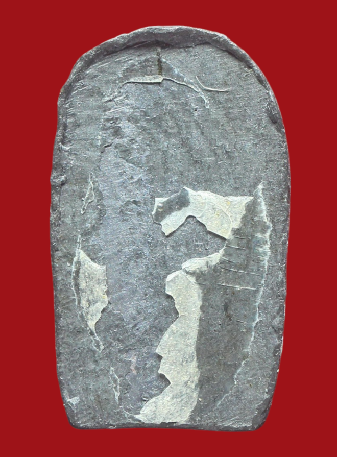 รูปที่อัปโหลด