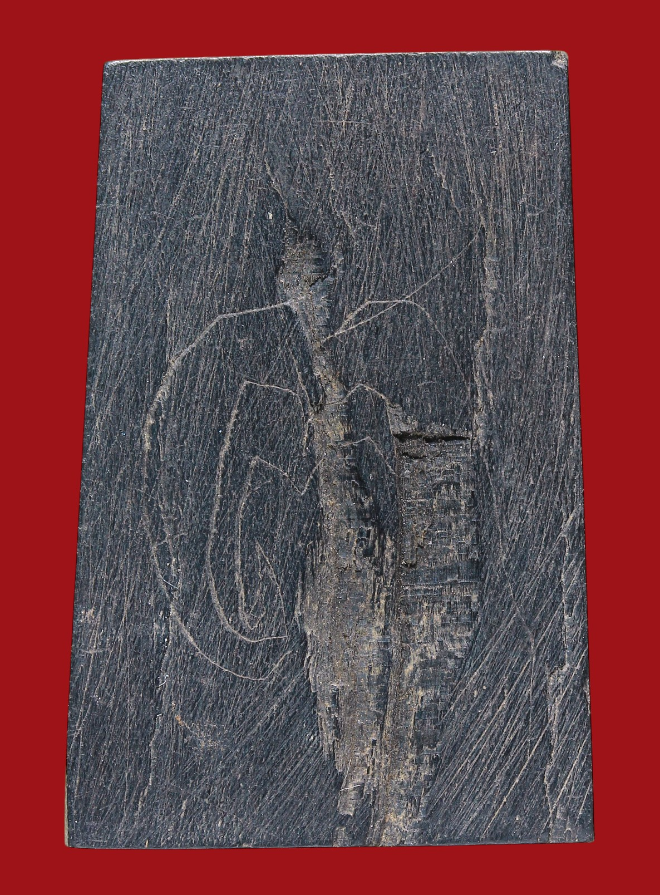 รูปที่อัปโหลด