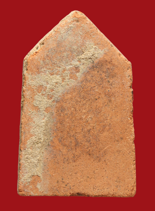 รูปที่อัปโหลด