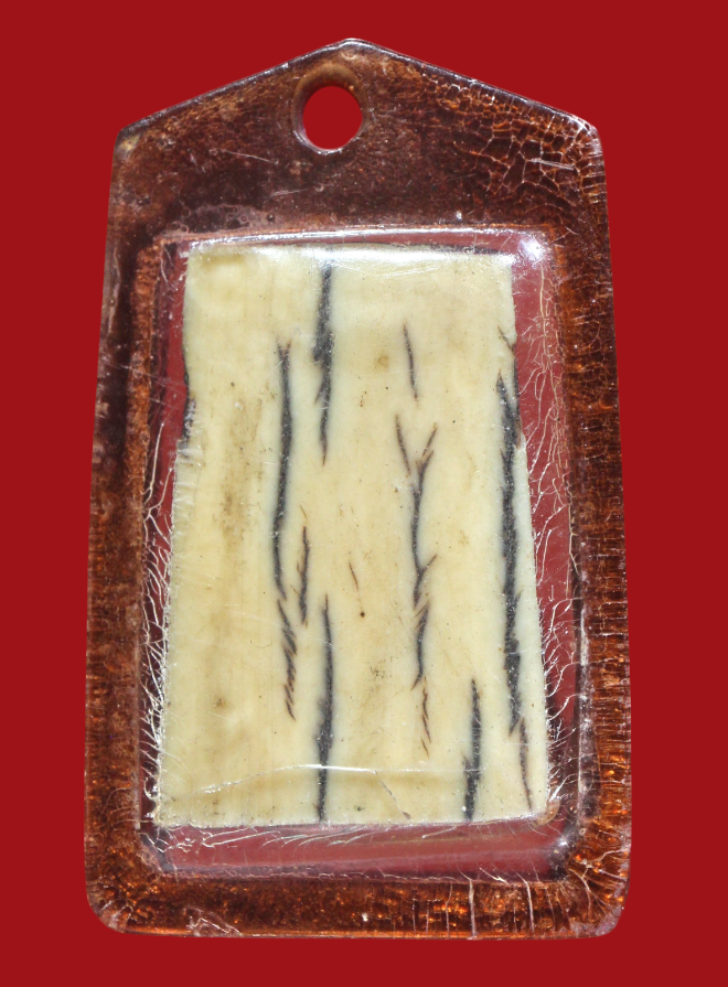 รูปที่อัปโหลด