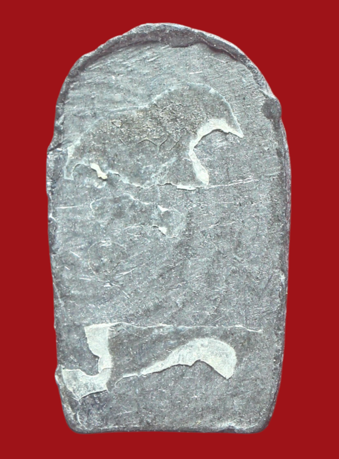 รูปที่อัปโหลด