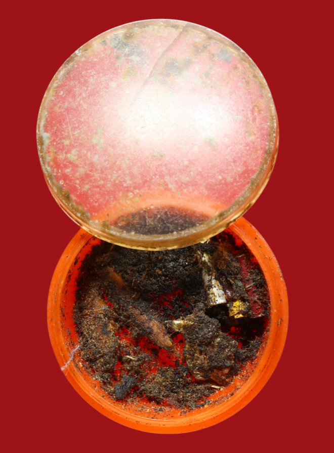 รูปที่อัปโหลด