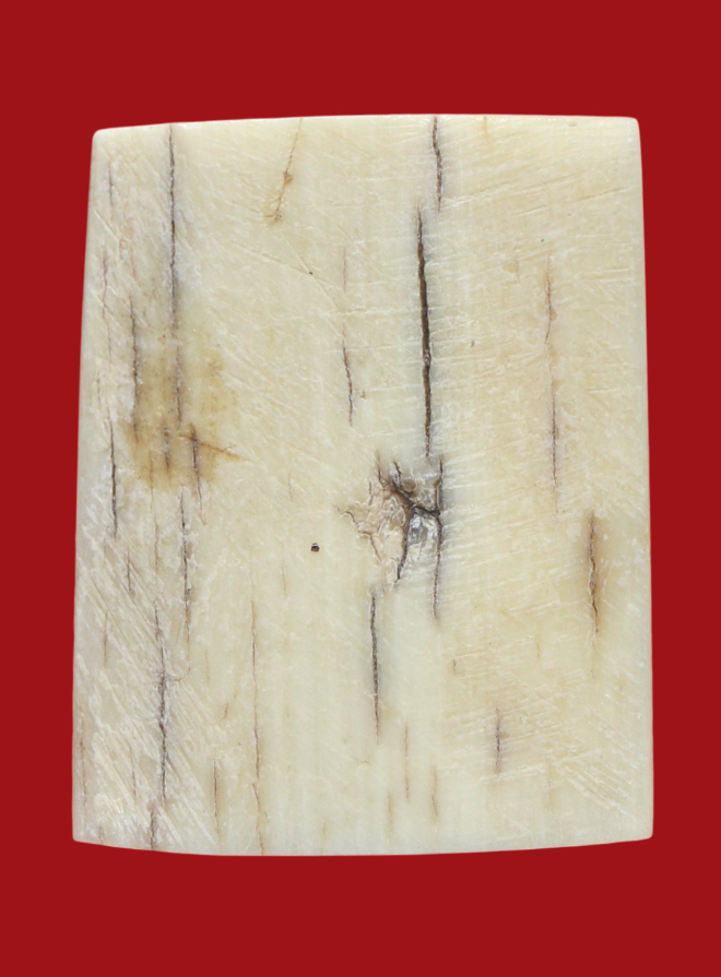 รูปที่อัปโหลด